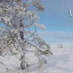 MAGNEETTI, LEVI, TALVIPÄIVÄ